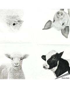 Hochwertige 3-lagige Servietten mit Bauernhoftieren-Motiv ✔️ Bringe das Landleben auf den Tisch ✔️ FSC-zertifiziert, biologisch abbaubar ➤ Bestelle bei Hoezo-Kado