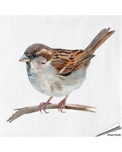 Servietten - Hausspatz - Motiv | 20 St&uuml;ck | Hoezo-Kado