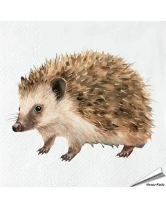 Igel-Servietten | Esschert Design | Hoezo-Kado Shop