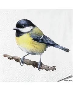 Kohlmeise-Servietten - Vogel-Motiv | 20 Stück | Hoezo-Kado