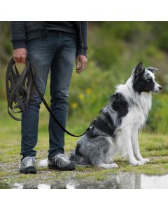 Entdecke die schwarze Schleppleine für Hunde ✔️ Stark, wetterfest und komfortabel ✔️ Wähle deine Länge und bestelle einfach online bei www.hoezo-kado.de