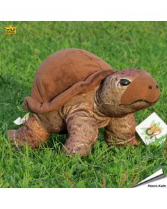 Plüsch - Schildkröte (Cuddlekins™)
