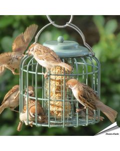 Vetbollenautomaat / Vetblokhouder met beschermkooi (zeegroen)