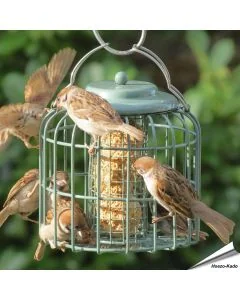 Vetbollenautomaat / Vetblokhouder met beschermkooi (zeegroen)