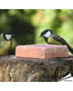 Kohlmeisen beim Energieblock - Beeren (320g)