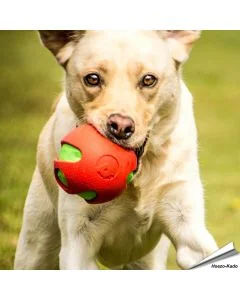 toyz - Crinkle Ball