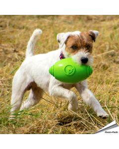 toyz - Rugby Ball - groot (groen)