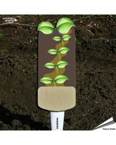 Veggie Stick - Allgemein