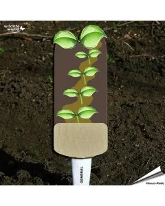 Veggie Stick - Allgemein