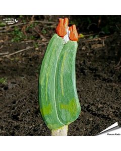 Veggie Stick - Zucchini