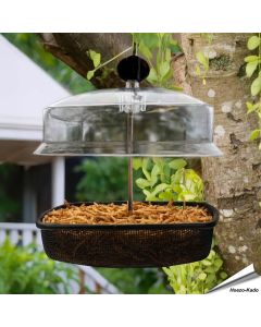 Hängender Mehlwurm-Futterspender für Wildvögel ✔️ Robuste Metallkonstruktion ✔️ Stabiles, engmaschiges Drahtgeflecht  ✔️ Regenkuppel ➤ Kaufe online bei Hoezo-Kado