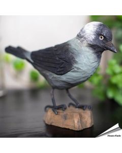 Dohle (Corvus monedula) | Handgeschnitzt | Online kaufen