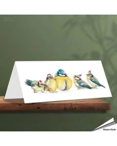 Weihnachtskarte - Mit Blaumeisenmotiven - Von Hand gezeichnet - www.hoezo-kado.de