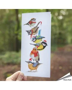 Witzige Weihnachtskarte mit Gartenvögeln ✔️ Handgezeichnet ✔️ Doppelkarte blanko ✔️ FSC-Papier ➤ Jetzt bei hoezo-kado.de bestellen