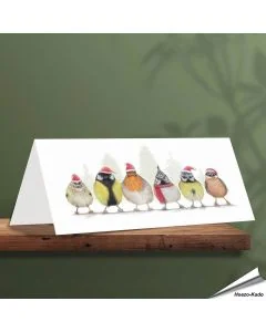 Weihnachtskarte mit verschiedenen Singvögel - Von Hand gezeichnet - www.hoezo-kado.de