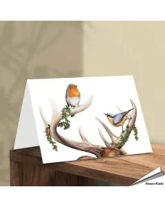 Weihnachtskarte - Mit Wildvogel-Motiven - Von Hand gezeichnet - www.hoezo-kado.de