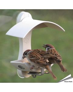 Fenster-Futterhaus für Wildvögel - Auch bei Spatzen beliebt - www.hoezo-kado.de