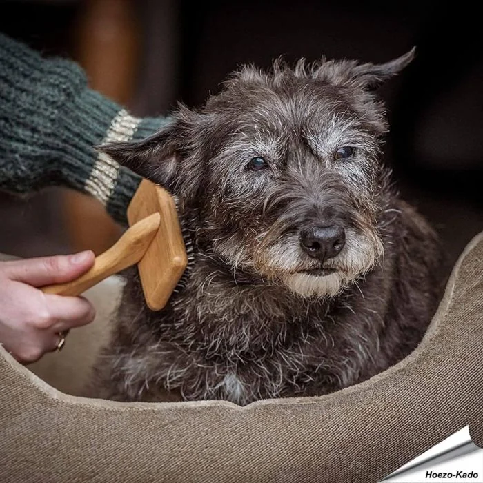 Bamboe Zachte Slicker Borstel (klein)