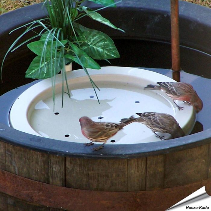 Birdbath Raft™ - Wasserfloss für Vögel