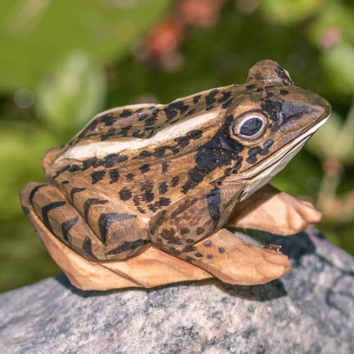 DecoAnimal Moorfrosch von Wildlife Garden. Handgeschnitzte Holzfigur mit geflecktem Rücken, großen Augen und natürlicher Bemalung. 7,6 cm lang.