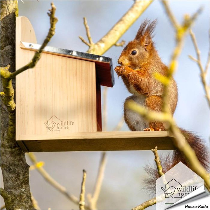 Eichhörnchen Futterhaus mit Metalldach - www.hoezo-kado.de