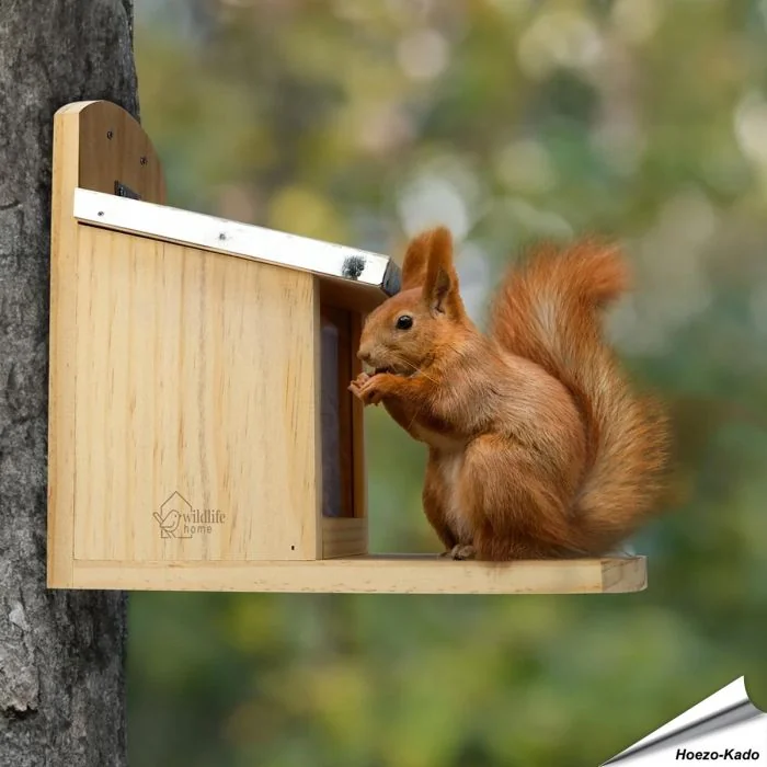 Futterhaus für Eichhörnchen XL ✔️ Nachhaltiges Kiefernholz, verschraubte Konstruktion ✔️ Verkürzte Plexiglas-Scheibe ✔️ Metall-Dach ➤ Bestelle bei Hoezo-Kado