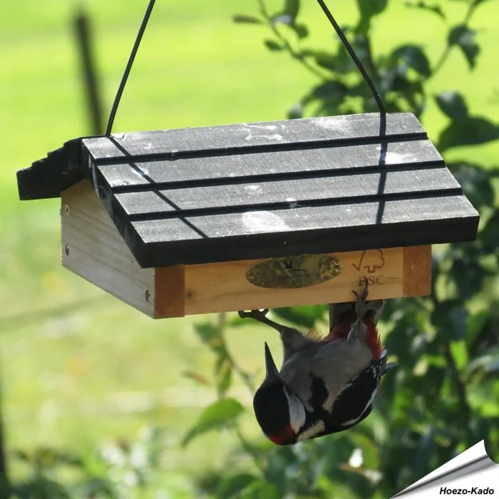 Energieblockhalter mit Dach ✔️ Einfachen Zugang zum Futter für agile Vögel wie Spechte, Meisen, Kleiber, Zeisige ✔️ Stabile Holz-Konstruktion ➤ Hoezo-Kado