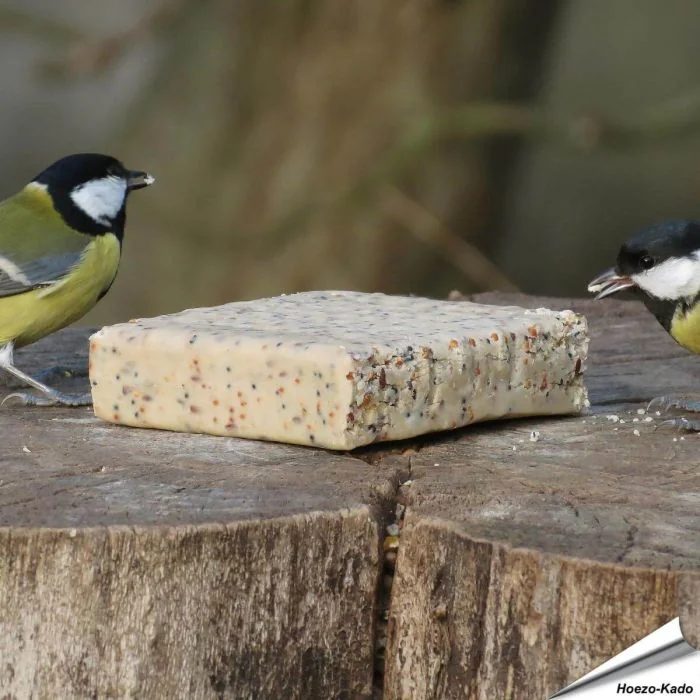 Energieblock mit Insekten
