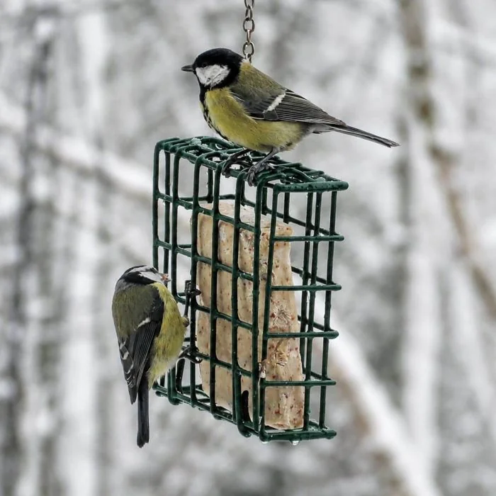 Energieblockhalter, Fettblockhalter, Metall Futterhalter, Energieblock Spender, Fettblöcke füttern, Gartenvögel füttern, Futterkorb Metall, Vogelfutterhalter, Fettblock ohne Netz, Vogelfutter Zubehör, Alles für Vögel, Vogelhaus Shop, vogelfreundlicher Gar