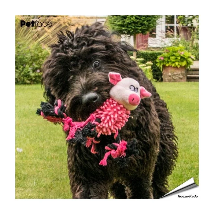 Farmyard Buddies - Nudel-Schweinchen