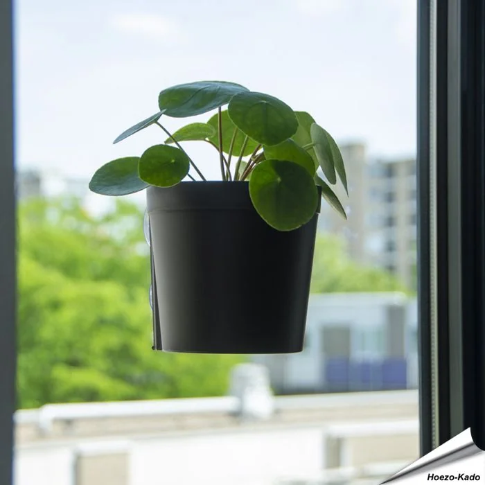 Fensterblumentopf (L)