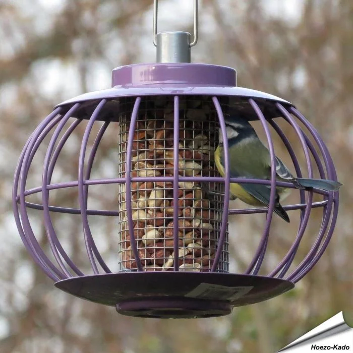Pindasilolantaarn met beschermkooi | aubergine | Hoezo-Kado
