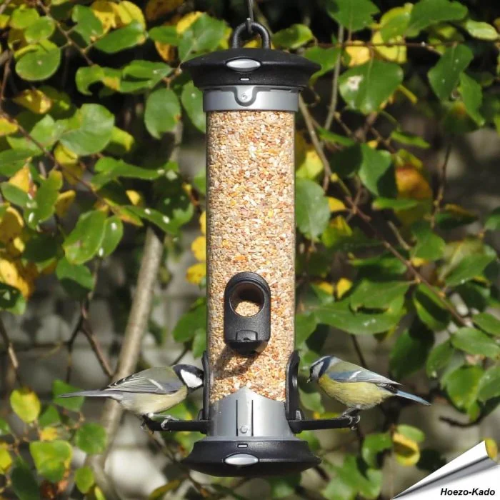 Apollo Futtersilo für Samen - Empfohlen von Vogelbescherming Nederland - www.hoezo-kado.de