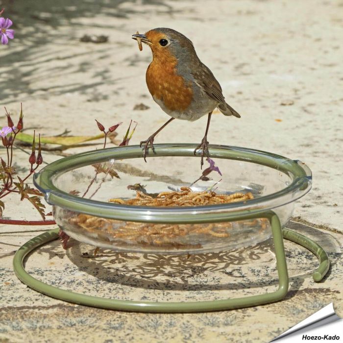 I love Robins - Grundfuttertisch