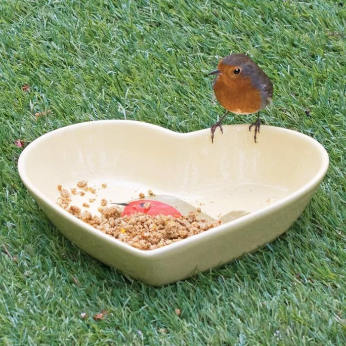 Dieser Grundfuttertisch ist speziell für Deine Bodenfresser im Garten oder auf dem Balkon. Dank dem kompakten Design ist diese Futterschale auch für kleine Oberflächen oder als zusätzlichen Futterplatz geeignet.