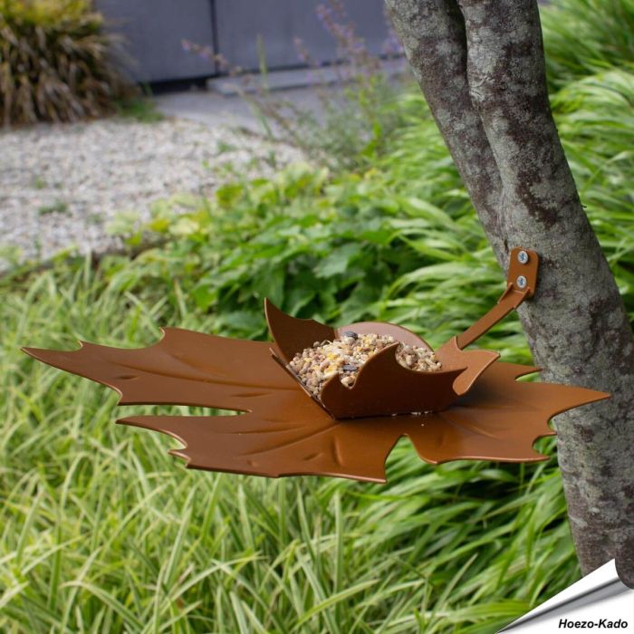 Elegante Wand-Futterschale in Blattform ✔️ Wetterfestes Metall mit Pulverbeschichtung ✔️ Ideal für Meisen, Spatzen & Rotkehlchen ➤ Hoezo-Kado.de