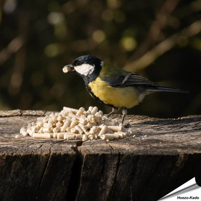 Mit Fettprodukten wie diese nahrhaften Fett-Leckerbissen können Deine Gartenvögel zusätzliche Energiereserven aufbauen. Viele Vogelarten wie z.B. Rotkehlchen, Amseln aber auch Meisen, Sperlinge, Stare und andere Wildvögel lieben dieses proteinreiche, unkr