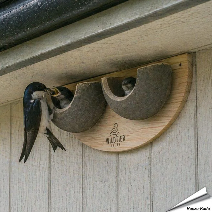 Nisthilfe für Mehlschwalben mit 2 Nistschalen ✔️ Mehlschwalbennest ✔️ Schalenförmige Nisthilfe ✔️ Hochwertige Verarbeitung ➤ Bestelle direkt auf Hoezo-Kado