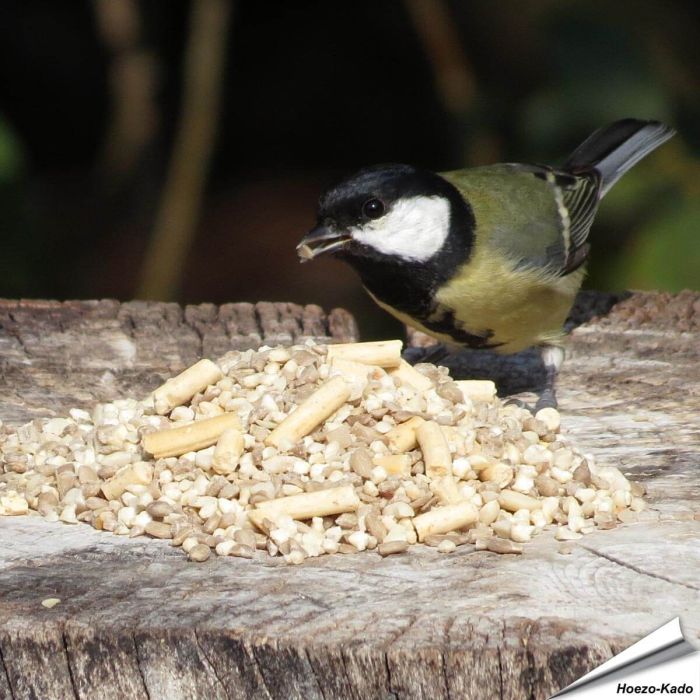 Hochwertige Futtermischung für kleine Vögel | Hi-Energy (5 kg)