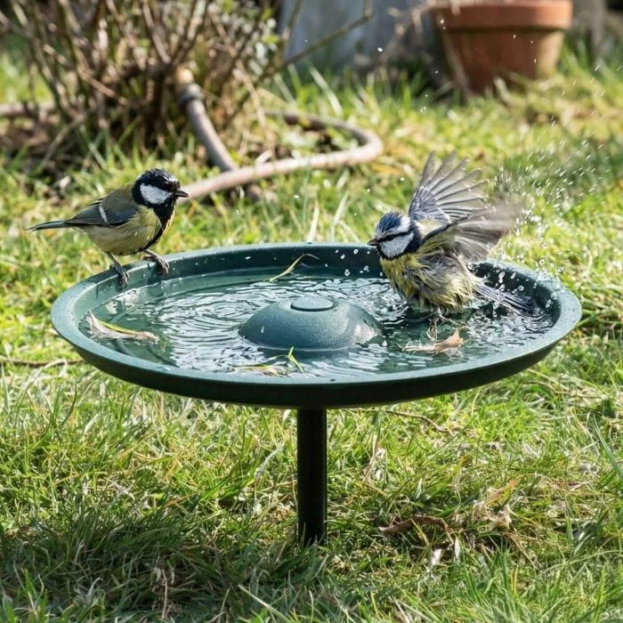 Vogelbad MultiChoice von Aniculis ✔️ Große, stabile Wassertränke ✔️ Treppenförmige, aufgeraute Ränder ✔️ Durchmesser: 35,7cm ➤ Online kaufen bei www.hoezo-kado.de