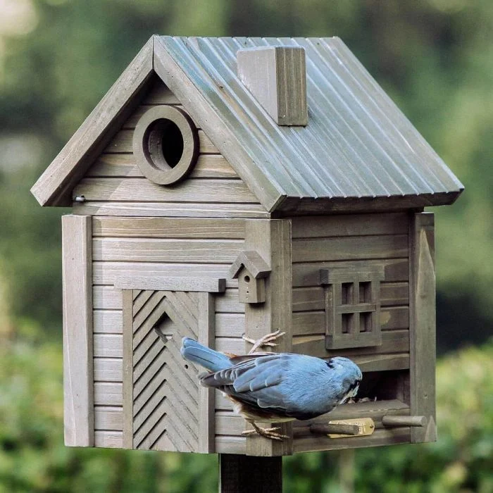 Multiholk Grüne Umbra - Wildlife Garden ✔️ Nistkasten und Futterhaus in einem ✔️ Für kleine Gartenvögel ✔️ Inspiriert nach skandinavischem Design ➤ Hoezo-Kado