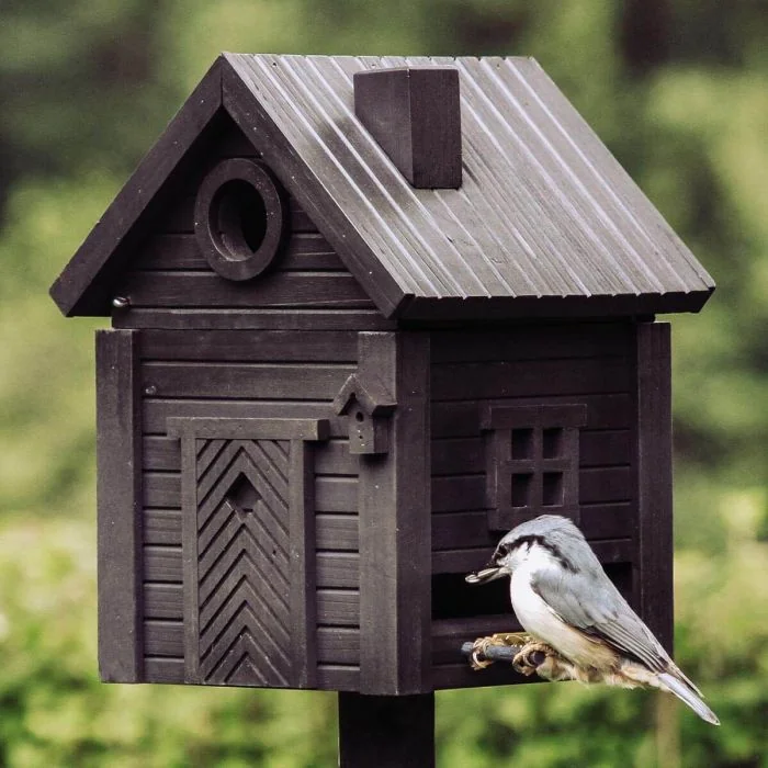 Multiholk Carbon Black - Wildlife Garden ✔️ Nistkasten und Futterhaus in einem ✔️ Für kleine Gartenvögel ✔️ Inspiriert nach skandinavischem Design ➤ Hoezo-Kado
