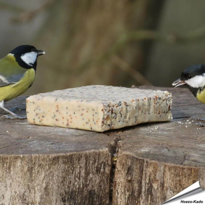 Energieblock mit Insekten - MultiPack