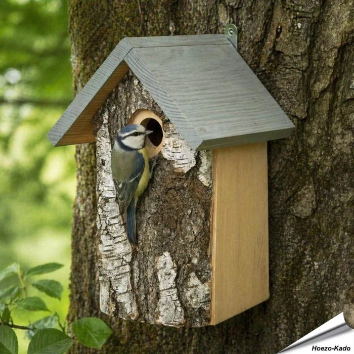 Birken Nistkasten mit natürlicher Rinde ✔️ 28mm Einflugloch für kleine Meisenarten ✔️ Natürliche Nisthilfe für Garten und Balkon ➤ Jetzt entdecken bei Hoezo-Kado