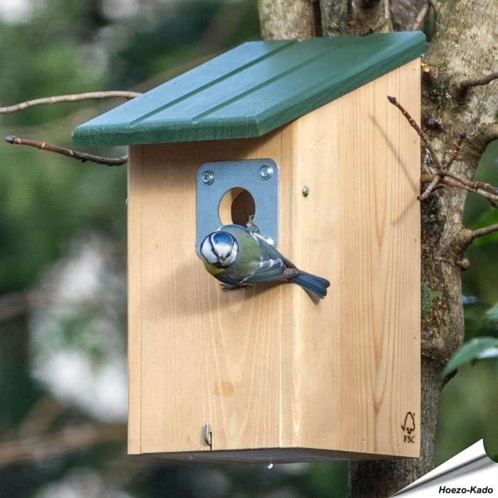 Seattle Nistkasten mit Raubtierschutz ✔️ Cleveres Tunnelsystem gegen Katzen und Marder ✔️ Mehr Schutz für Jungvögel ➤ Hoezo-Kado