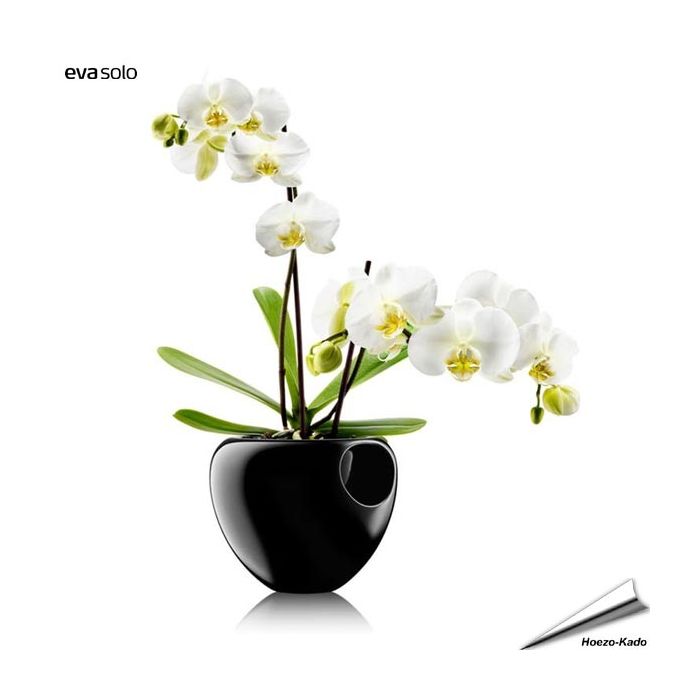 Orchideentopf (schwarz)