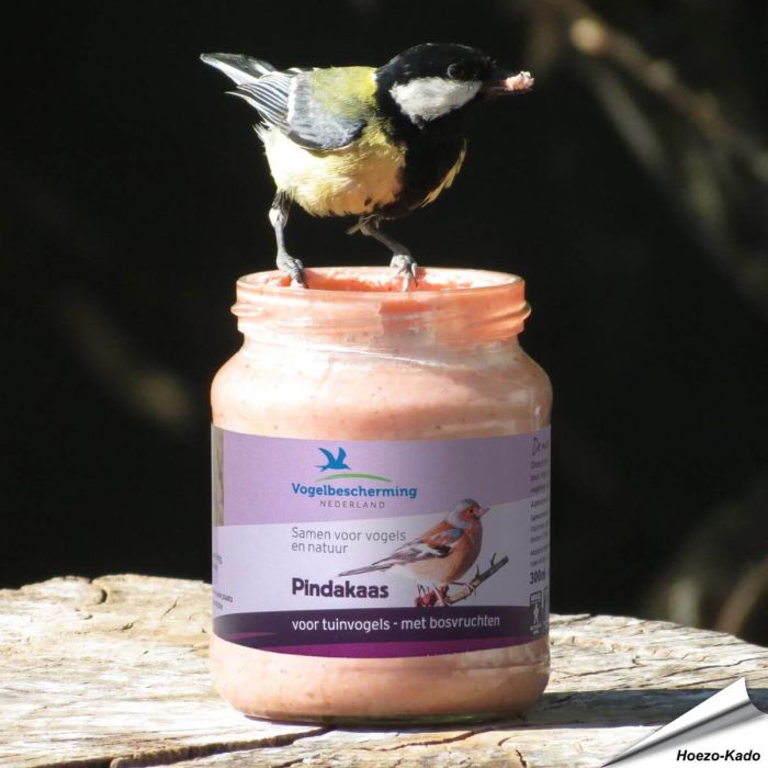 Vogel-Erdnussbutter Waldbeeren für Wildvögel ➤ Jetzt bestellen auf www.hoezo-kado.de
