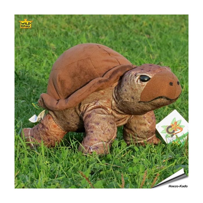 Plüsch - Schildkröte (Cuddlekins™)