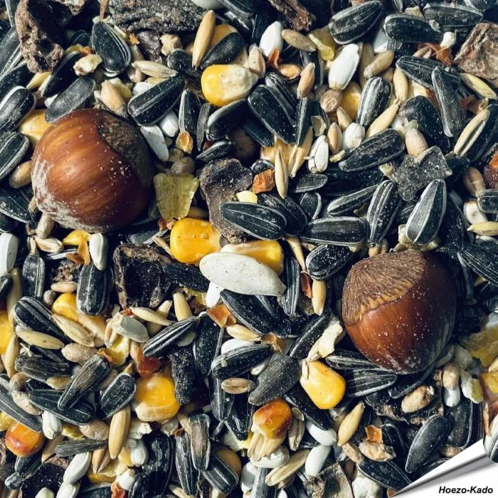 Premium Eichhörnchenfutter - Deluxe | 1 kg | Hoezo-Kado