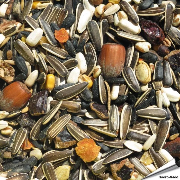 Premium Eichhörnchenfutter - Rein pflanzlich (3 kg)